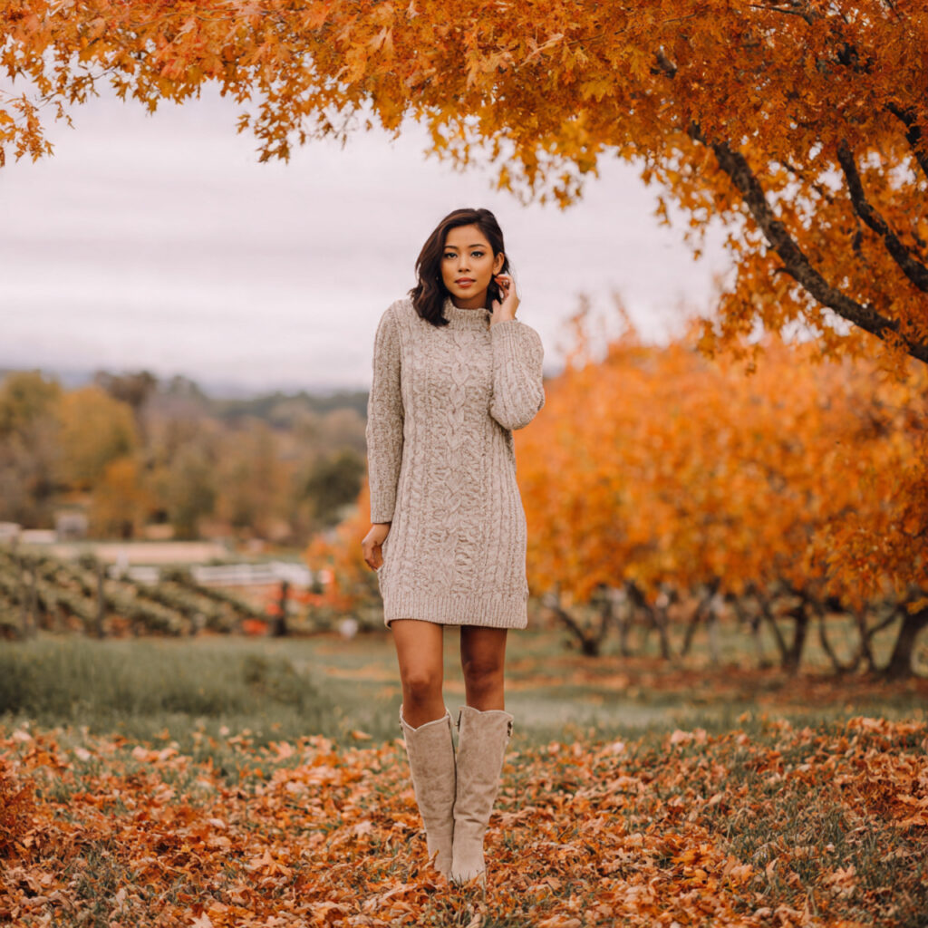 Textured Cable Knit Sweater Dresses
